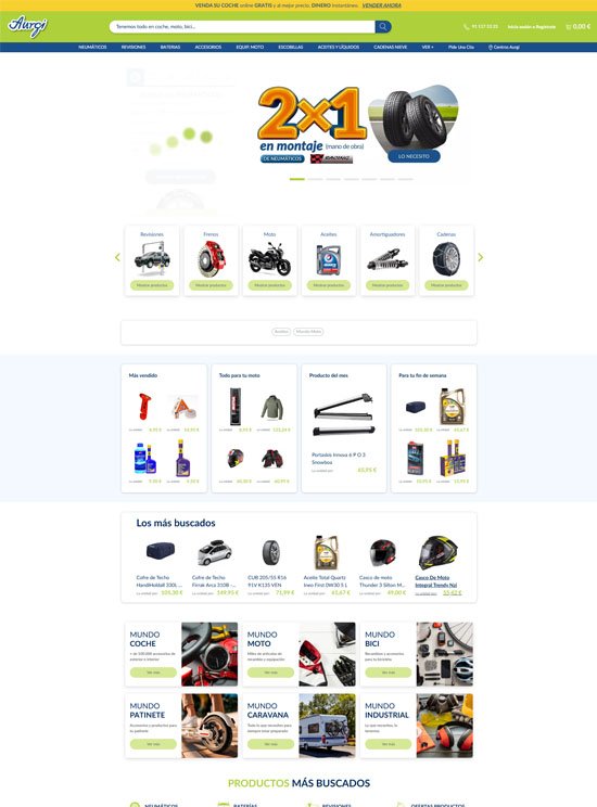Web Development